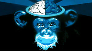 DISEÑO WEB - VISTA PREVIA LA ORBE - PORTADA