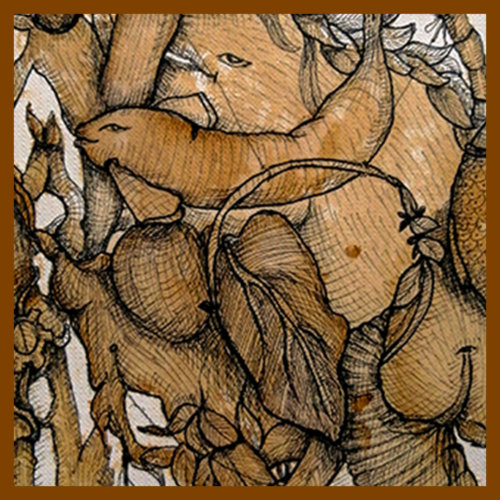 Serie cafeína - ETHIOPÍA MARINA - Jorge A. Merino - El Salvador