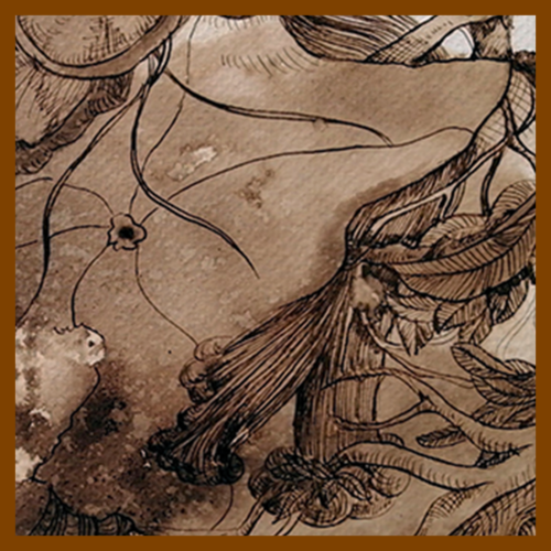 Núcleo - Serie cafeína - Jorge A. Merino - El Salvador